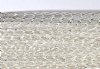1 Meter of 8x3mm Silver Plated Chain